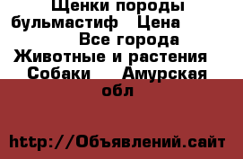 Щенки породы бульмастиф › Цена ­ 25 000 - Все города Животные и растения » Собаки   . Амурская обл.